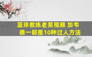 篮球教练老吴视频 加韦德一部是10种过人方法